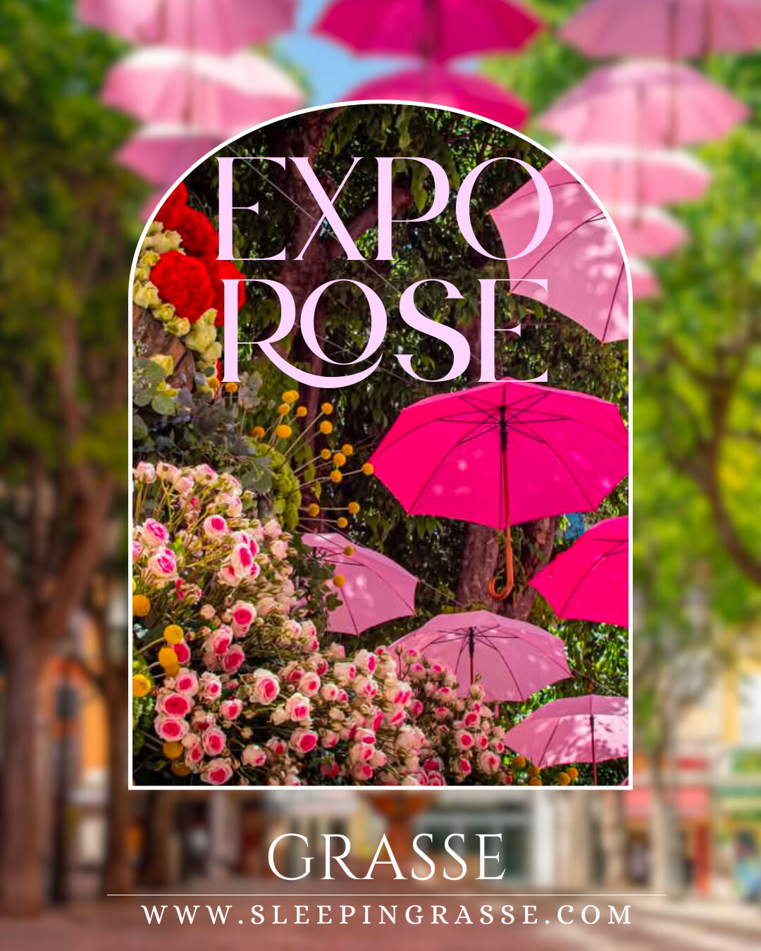 Expo Rose à Grasse – Sleep in Grasse : roses, installations florales et art de vivre grassois